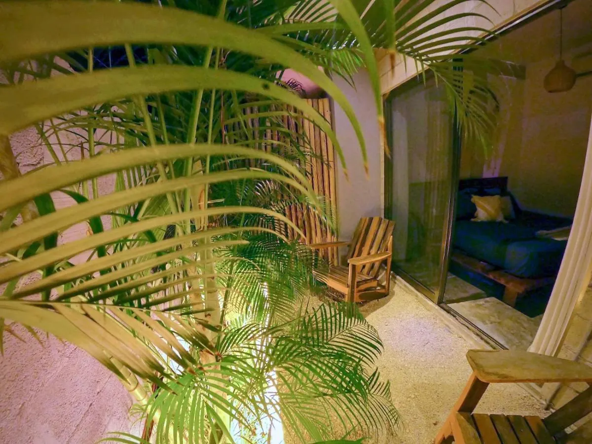 شقة Katalox Jungle Lofts By Simply Comfort Tulum Centre Rooftop Patio & Pool
